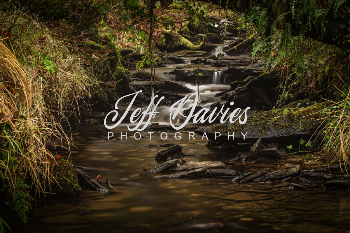 Jeff_Davies_Photography