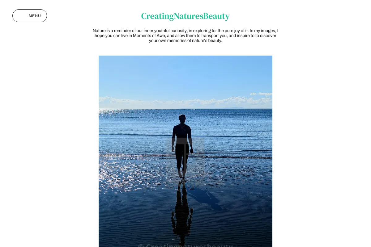 CreatingNaturesBeauty