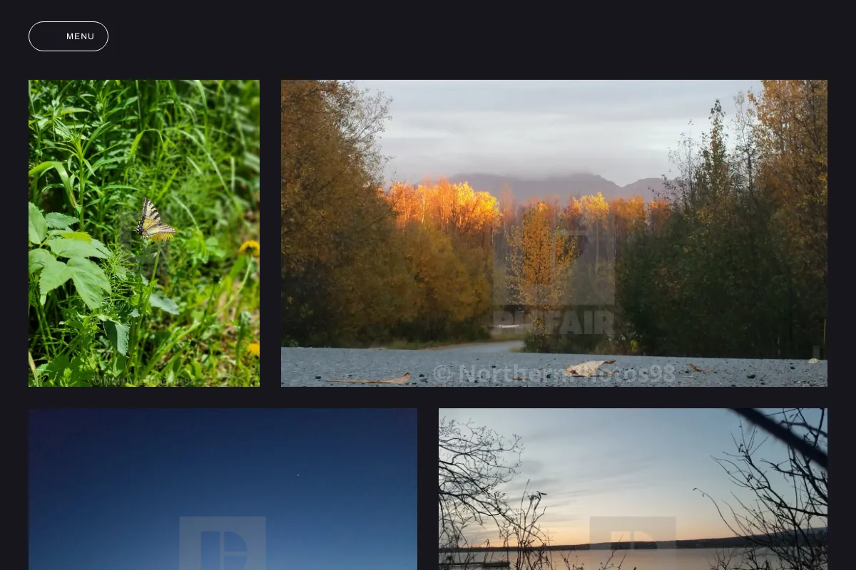 NorthernPhotos98