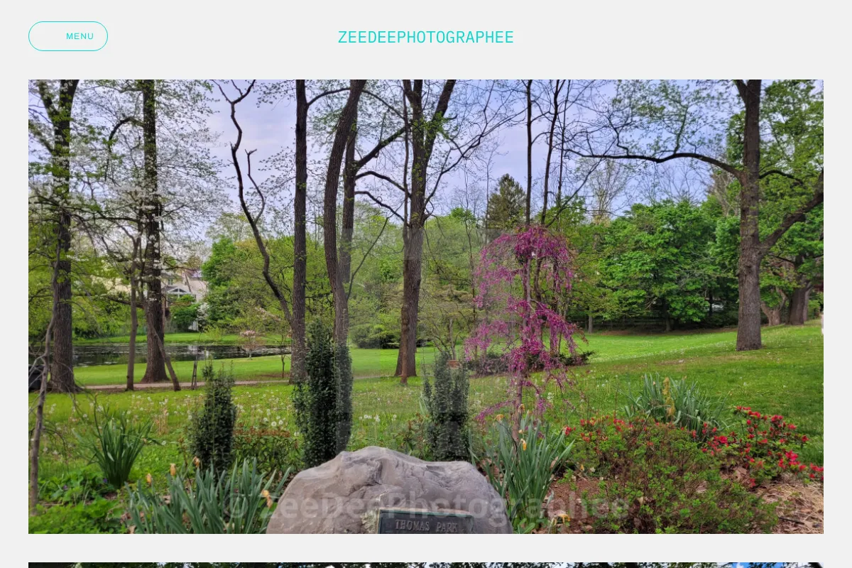 ZeeDeePhotographee
