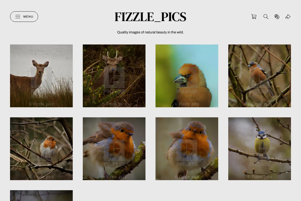 Fizzle_pics