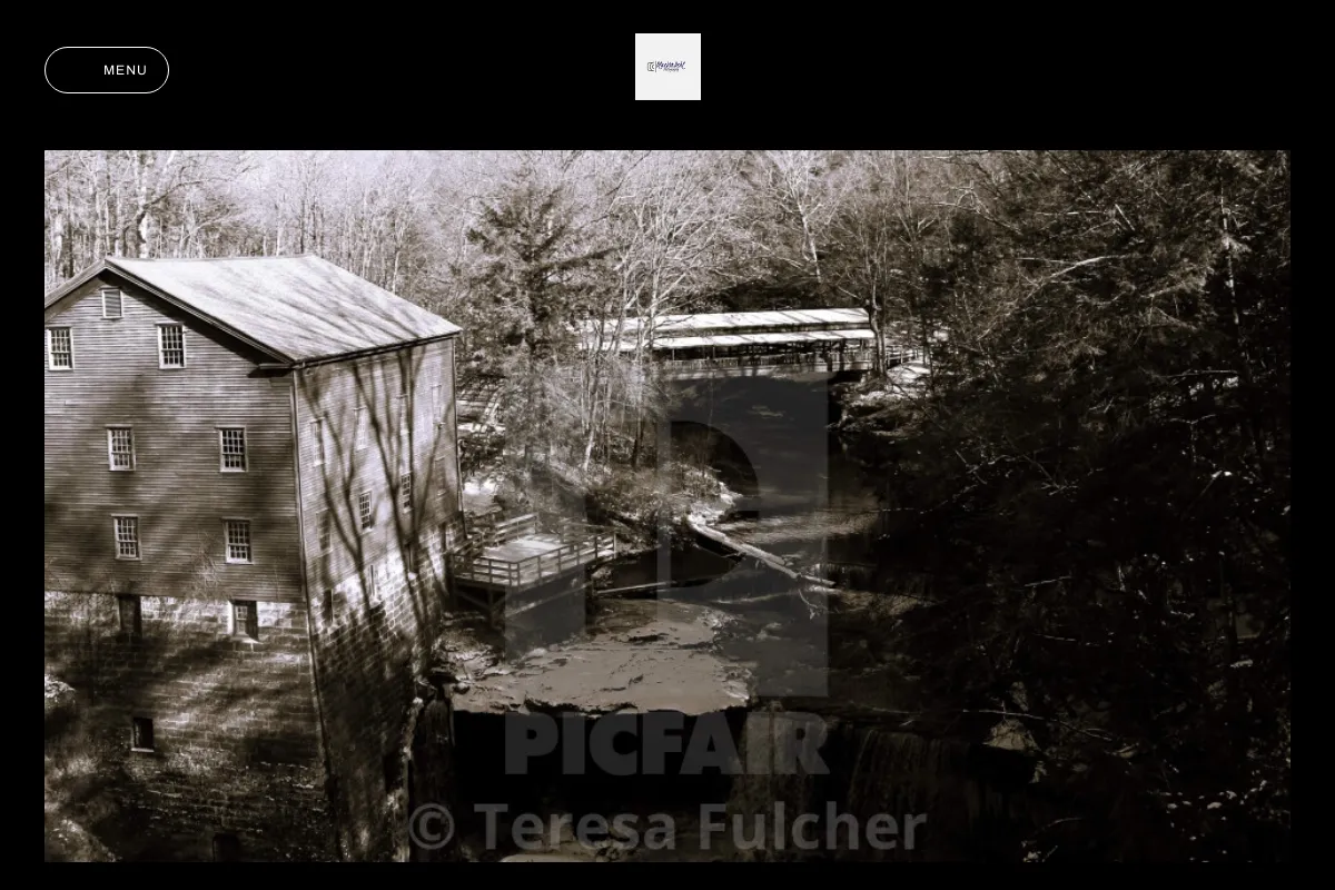 Teresa Fulcher