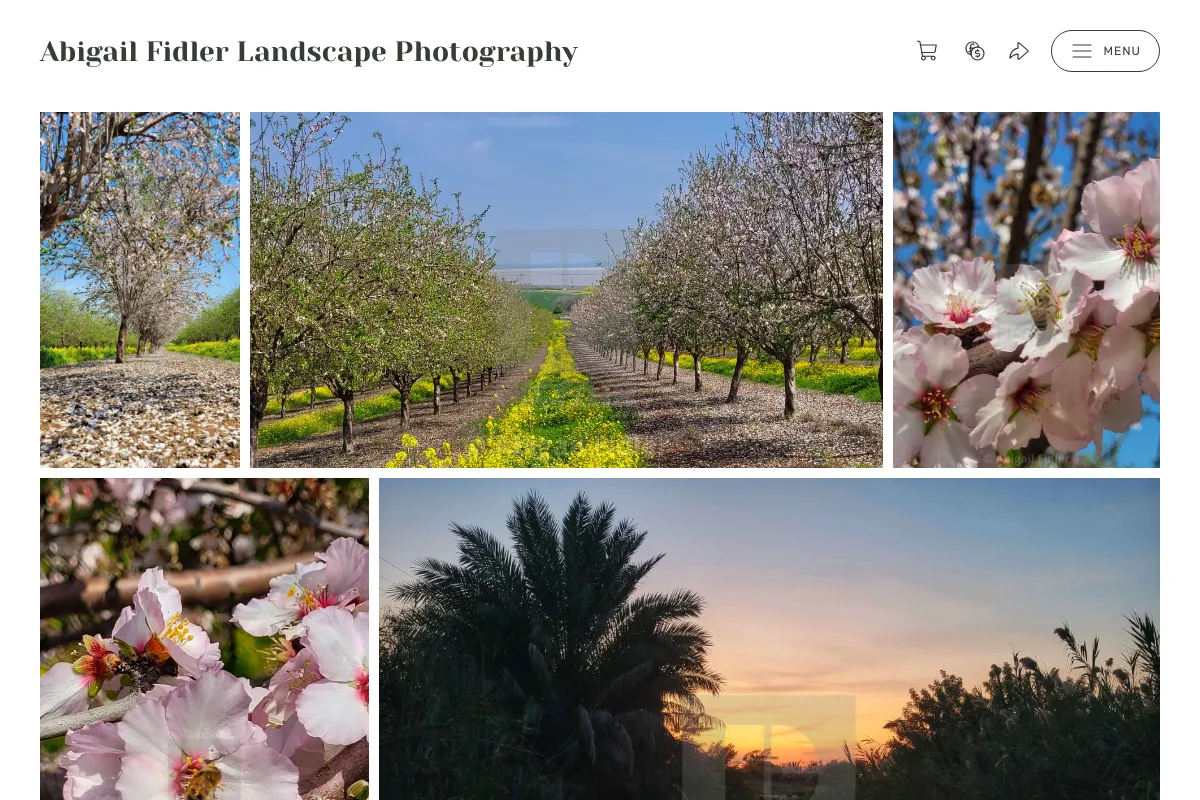 Abigail Fidler Landscape Photography