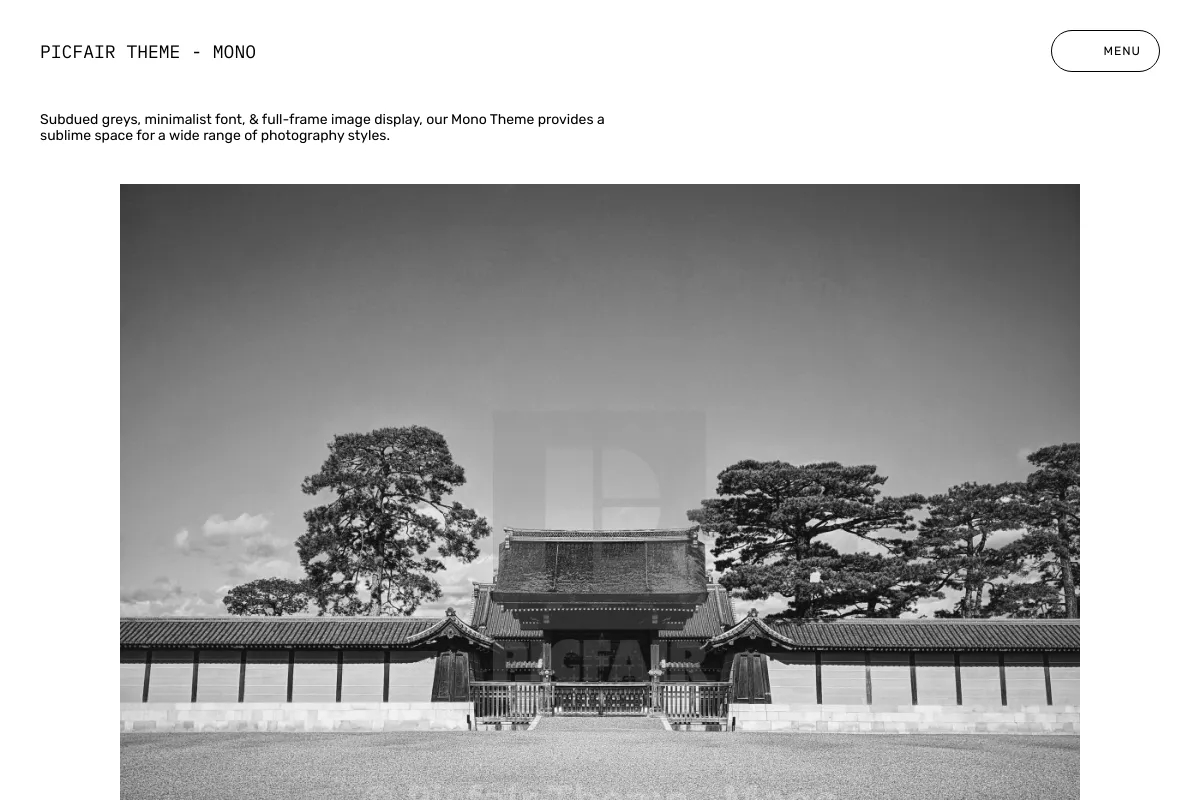 Picfair Theme - Mono