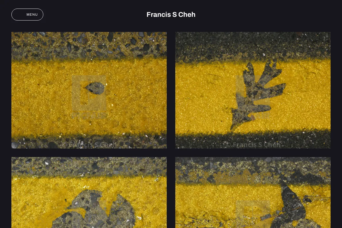 Francis S Cheh