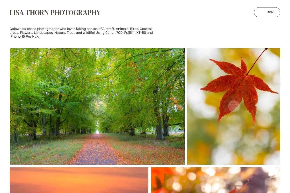 Lisa Thorn Photography