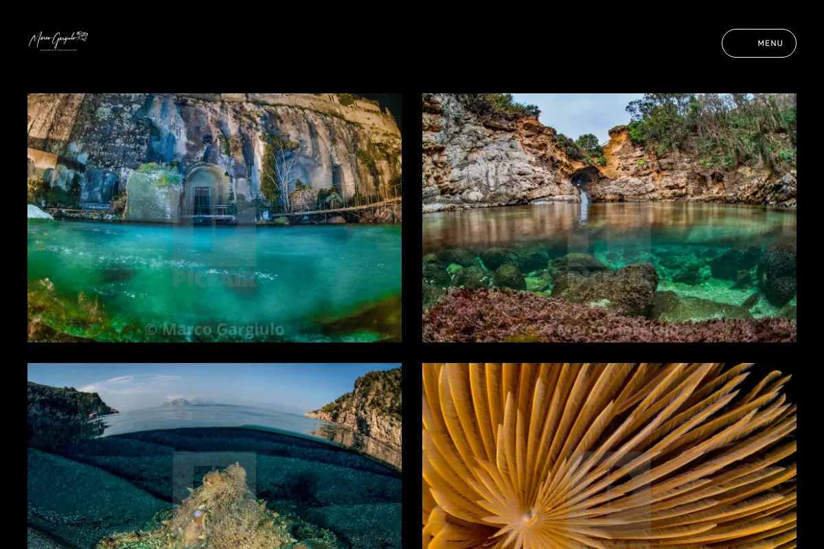 Marco Gargiulo Underwater Images