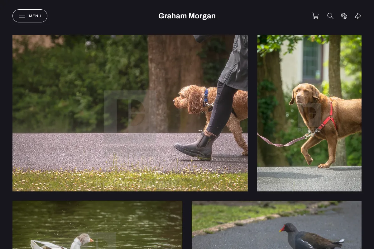 Graham Morgan
