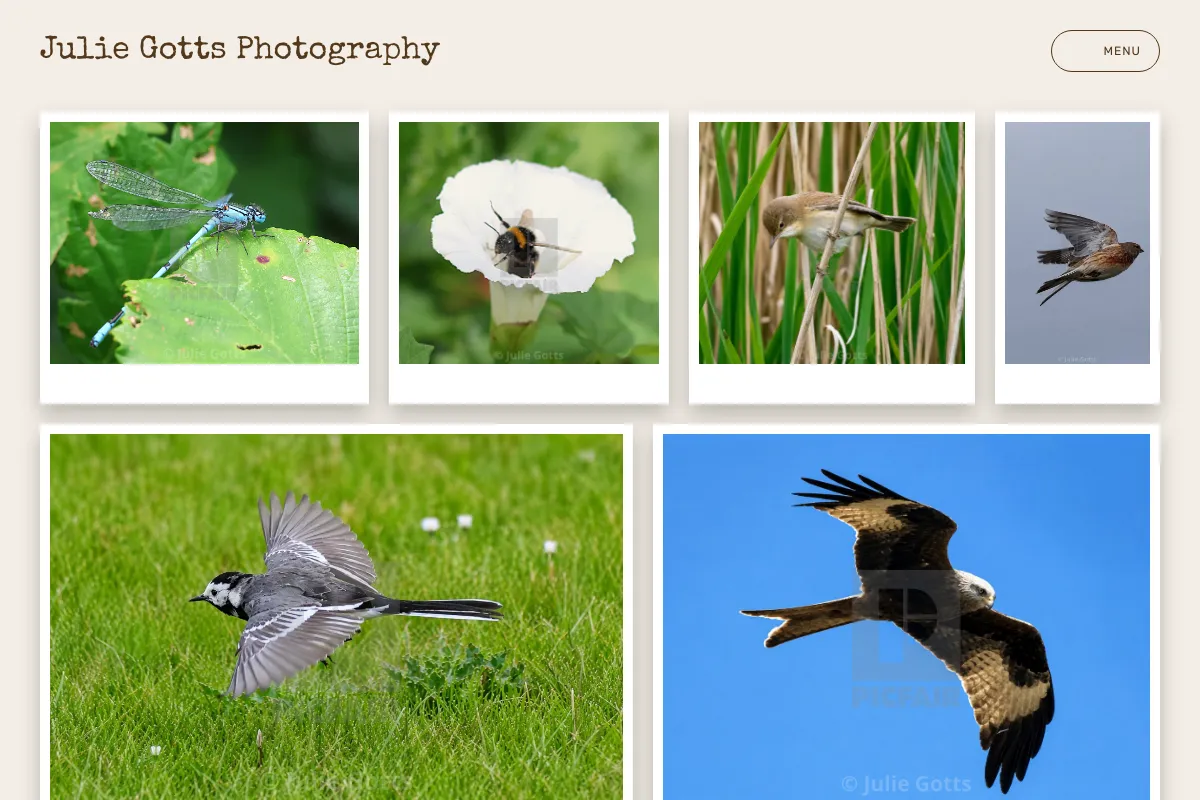 Julie Gotts Photography 