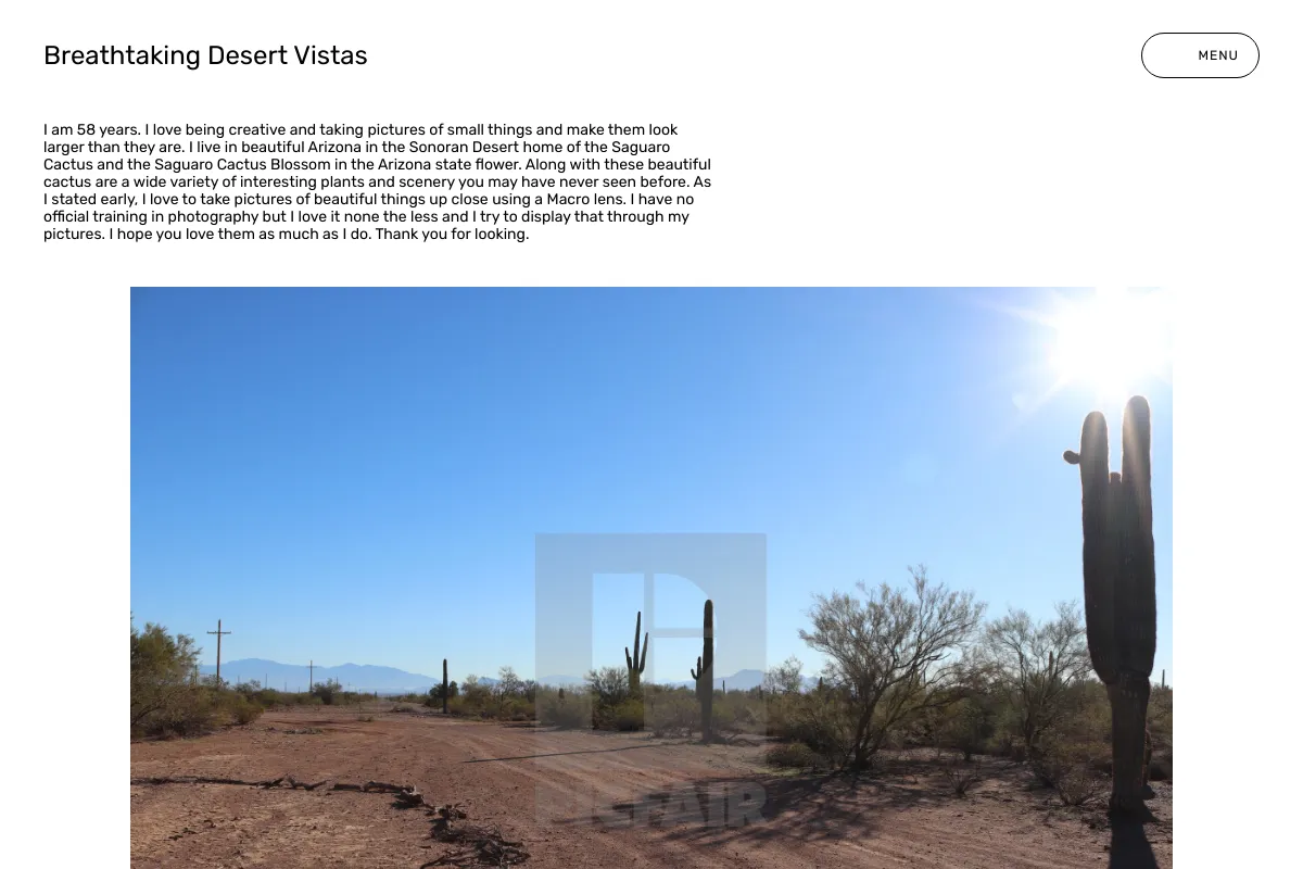Breathtaking Desert Vistas