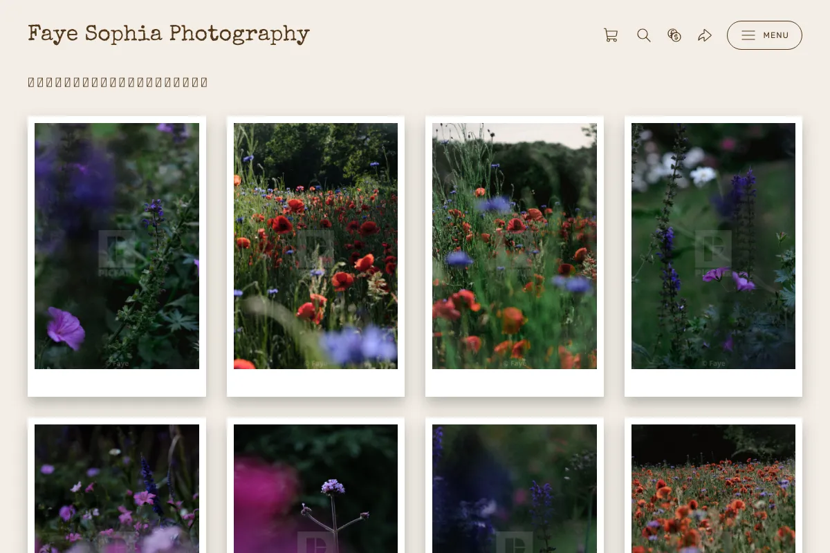 Faye Sophia Photography