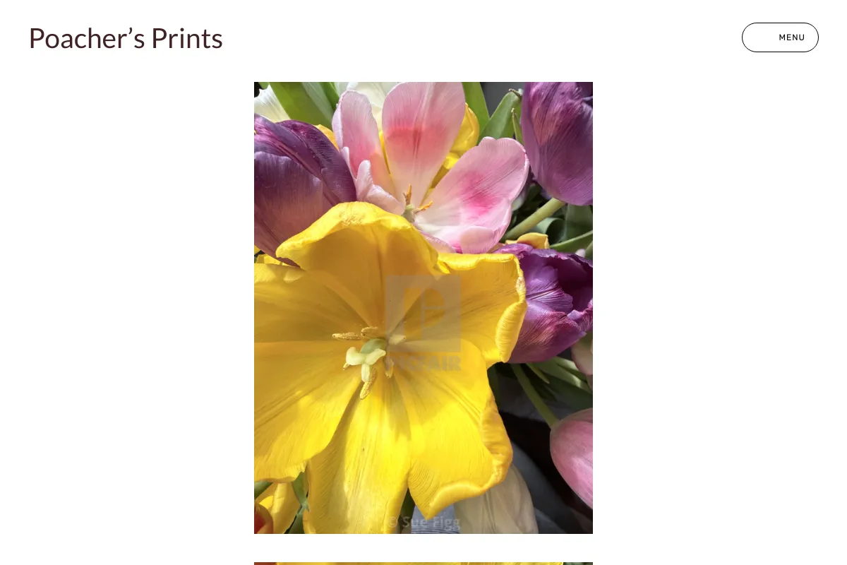 Poacher’s Prints 