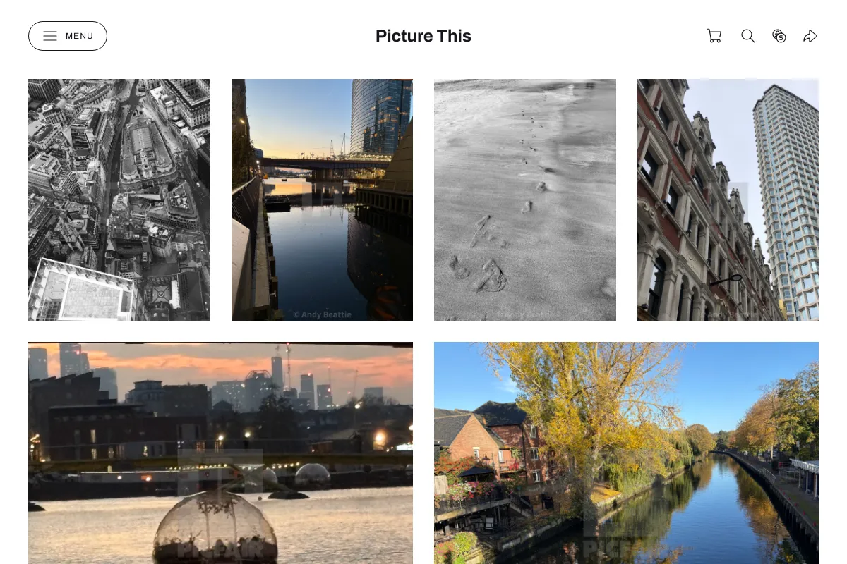Picture This