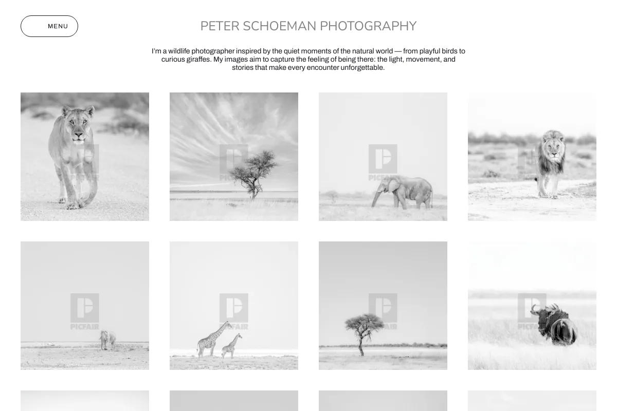 Peter Schoeman Photography