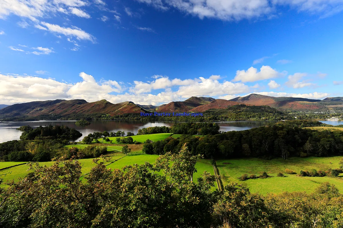 Dave Porter Landscapes