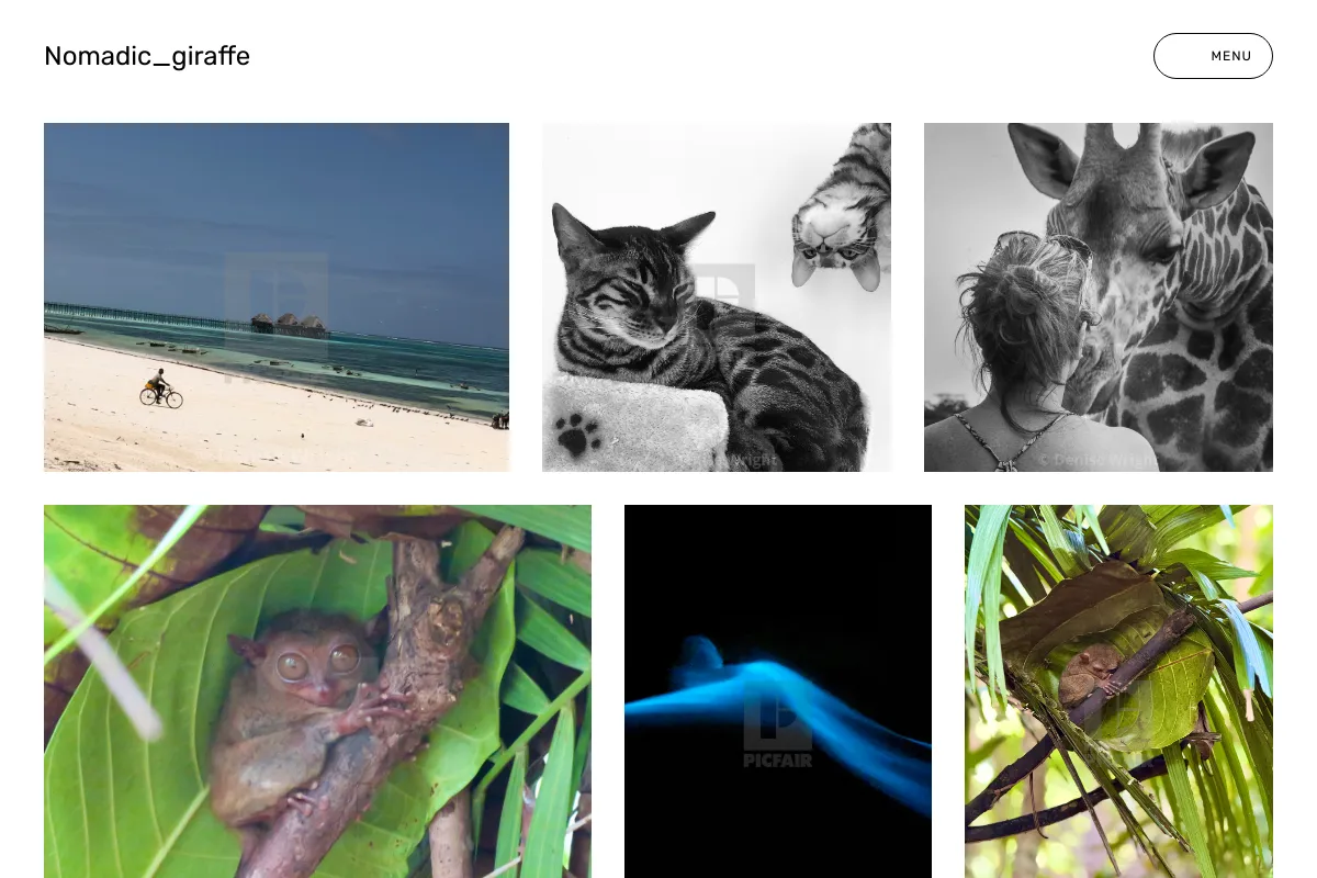 Nomadic_giraffe