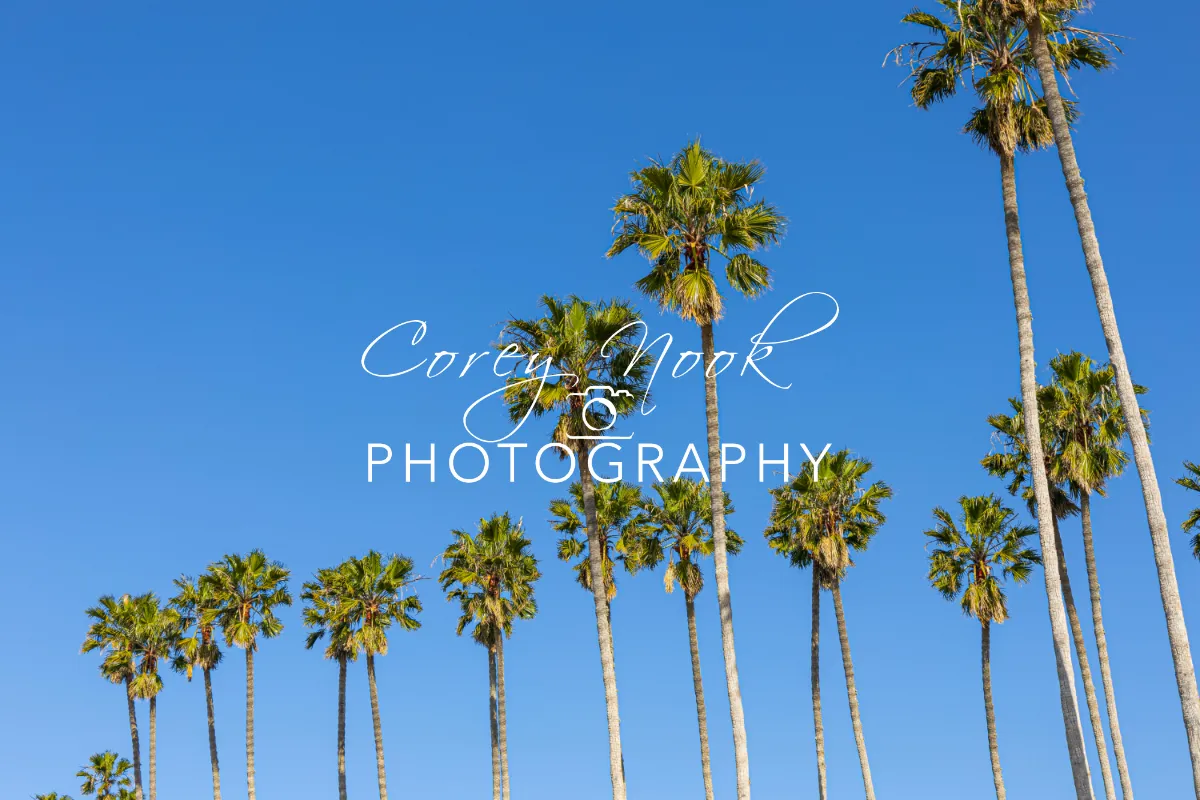 Corey Nook Photography
