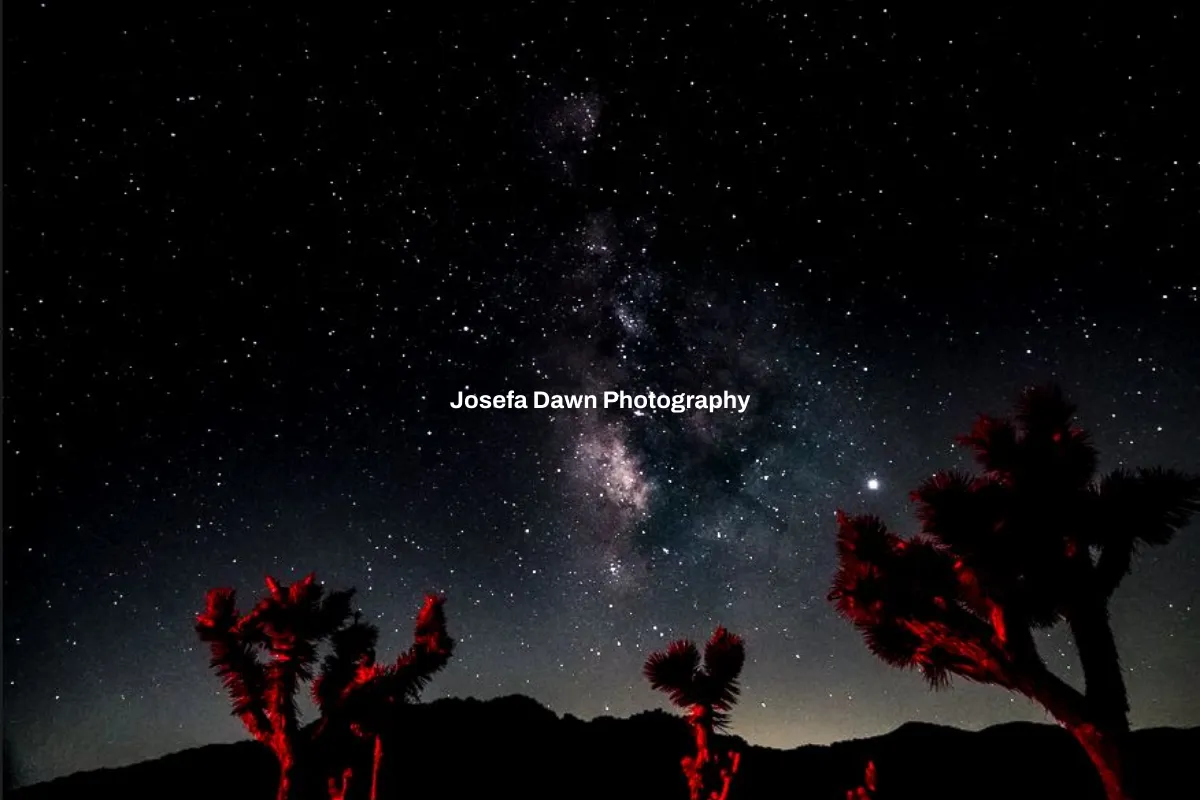 Josefa Dawn Photography