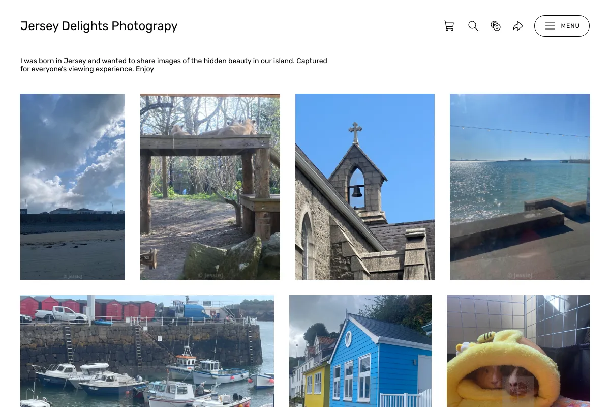 Jersey Delights Photograpy