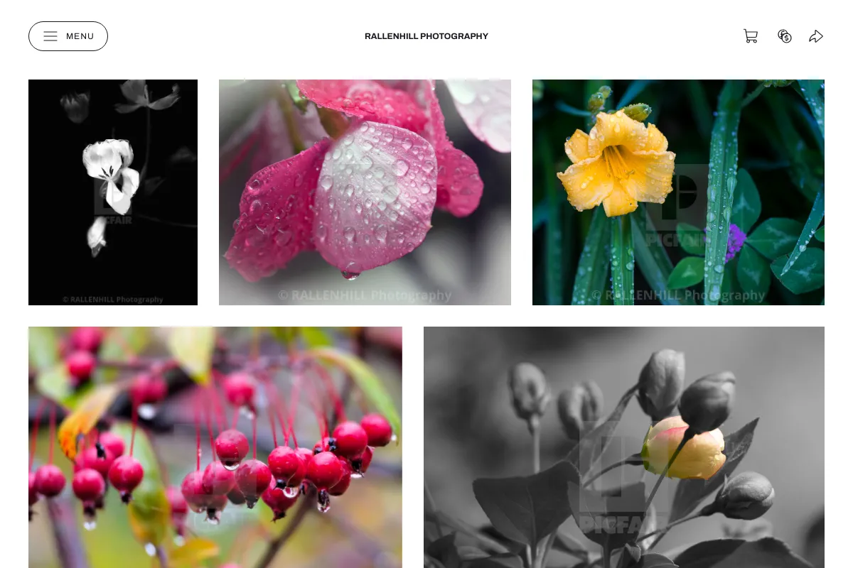 RALLENHILL Photography