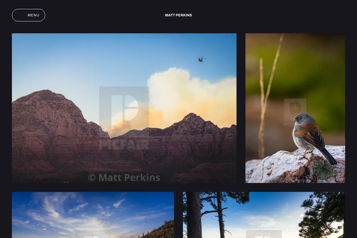 Matt Perkins