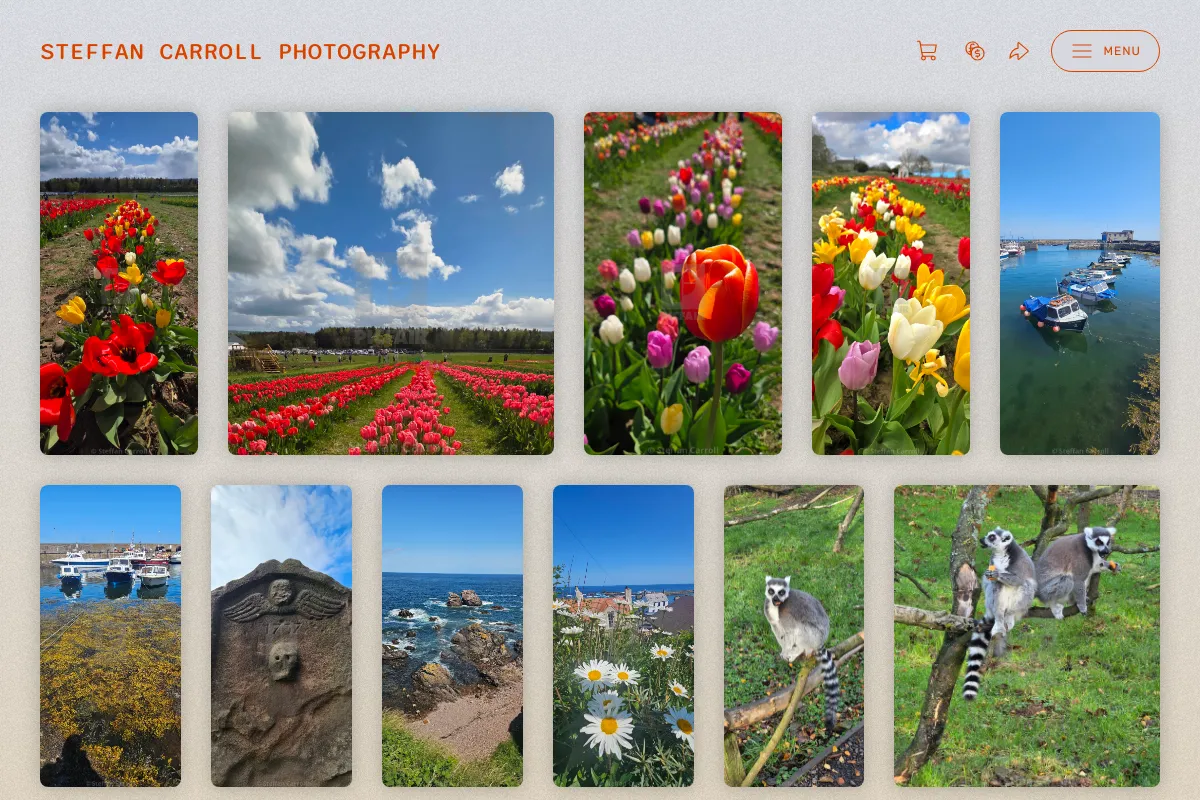 Steffan Carroll Photography