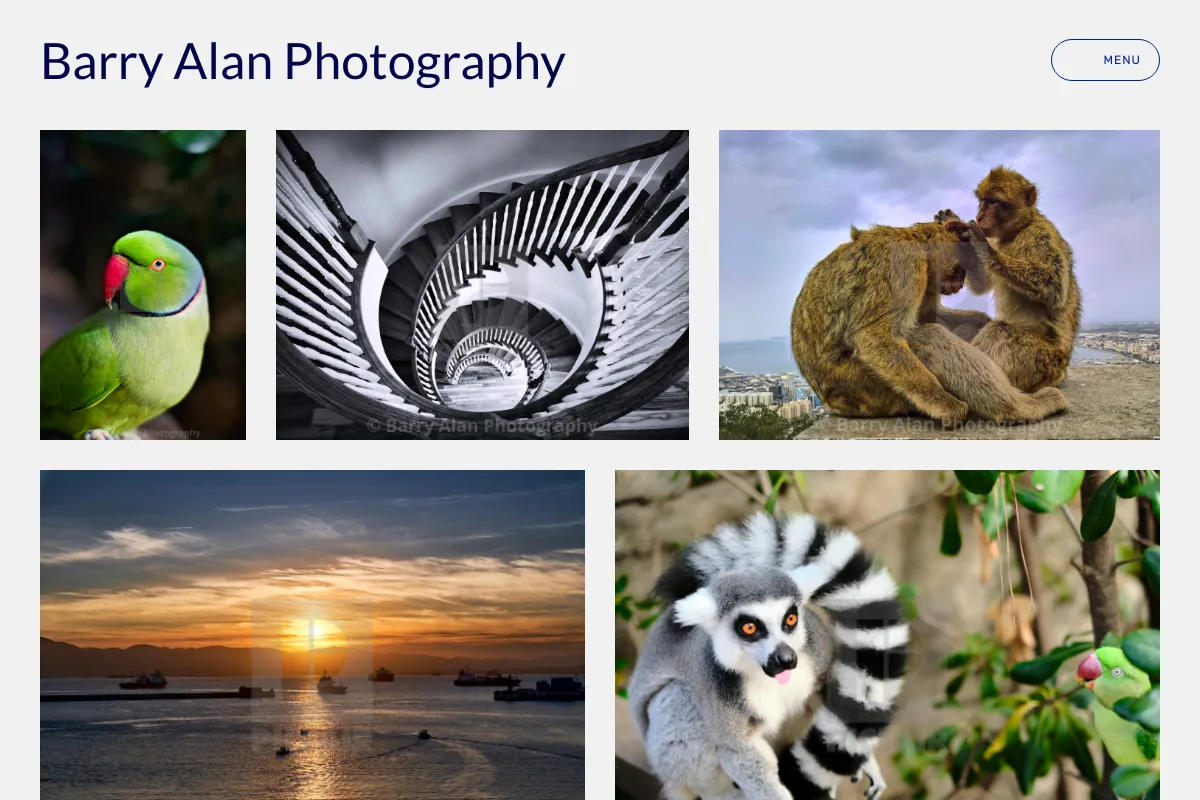 Barry Alan Photography 