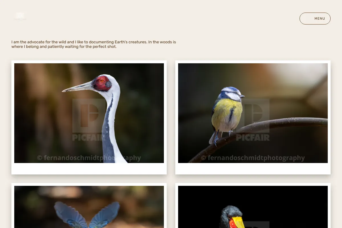 fernandoschmidtphotography