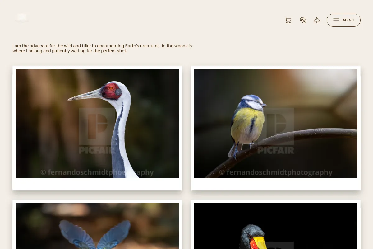fernandoschmidtphotography