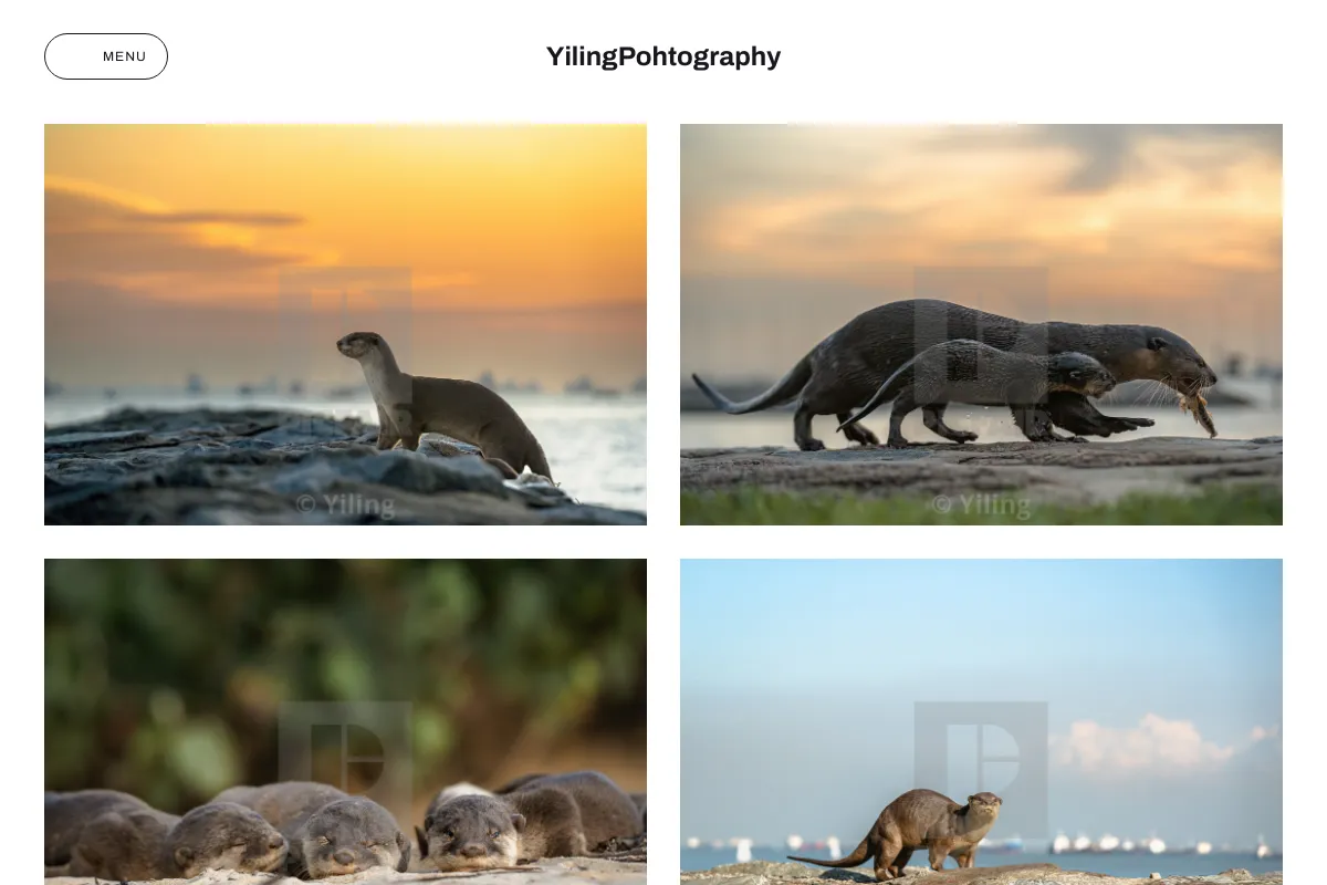 YilingPohtography