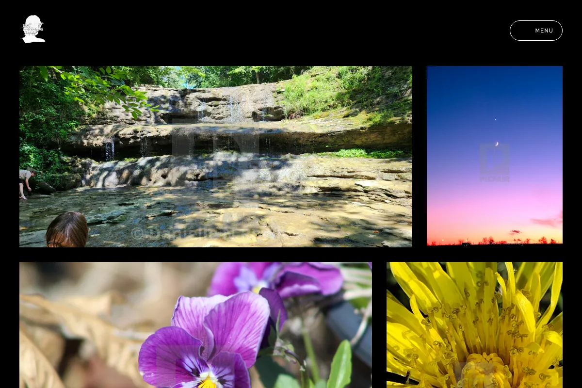 Crazy Beautiful Photography 