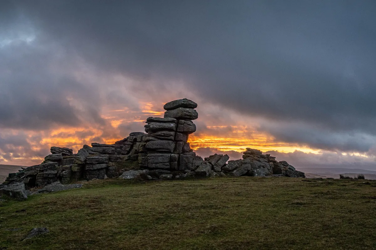 The Dartmoor Dog