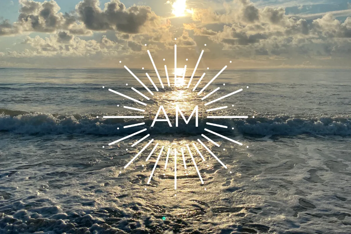AMPhotography