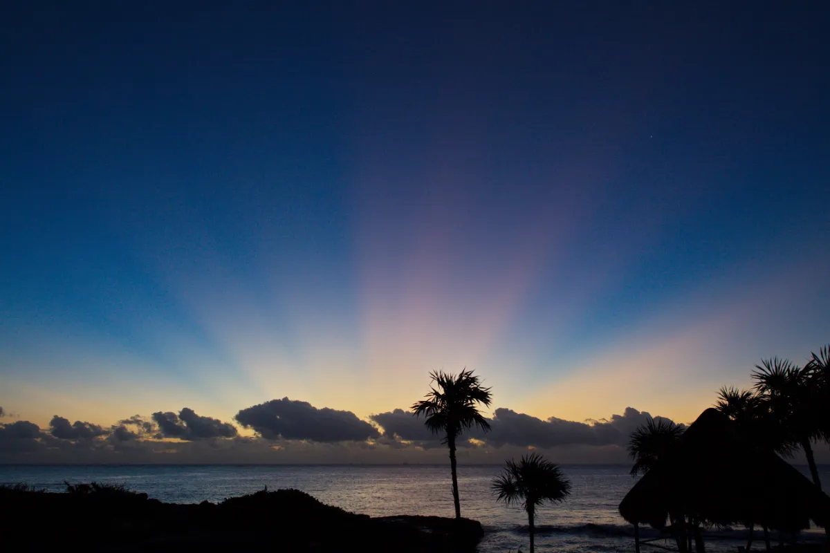 Rob Currie Photography