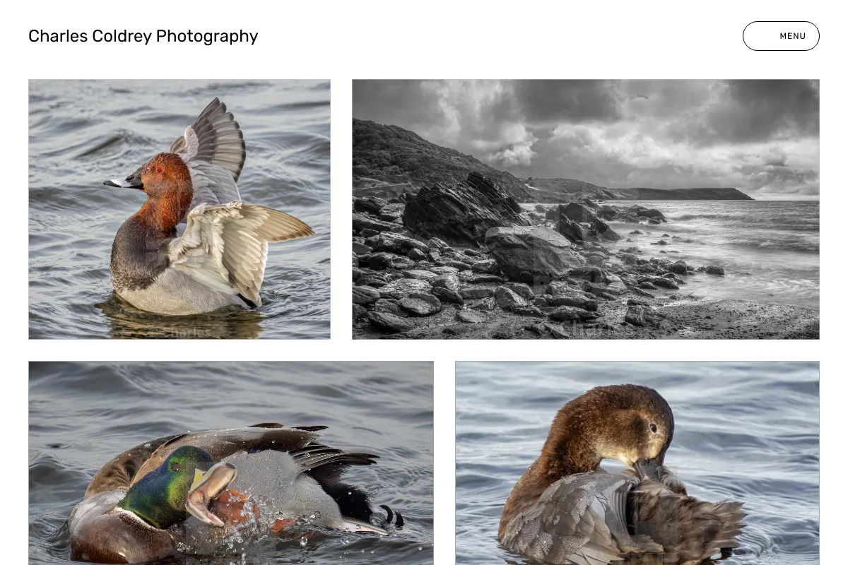 Charles Coldrey Photography