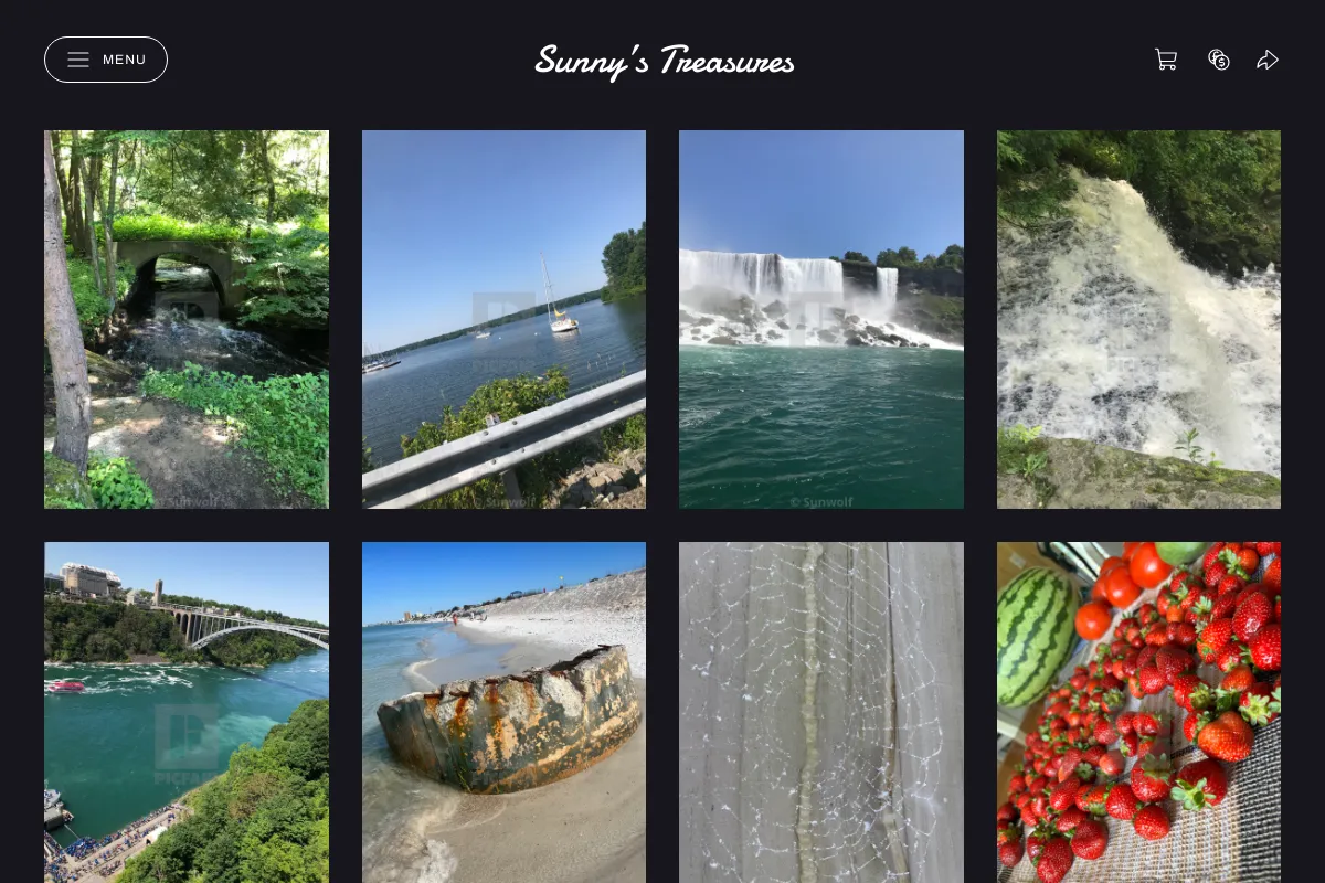 Sunny’s Treasures