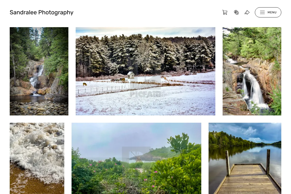 Sandralee Photography 