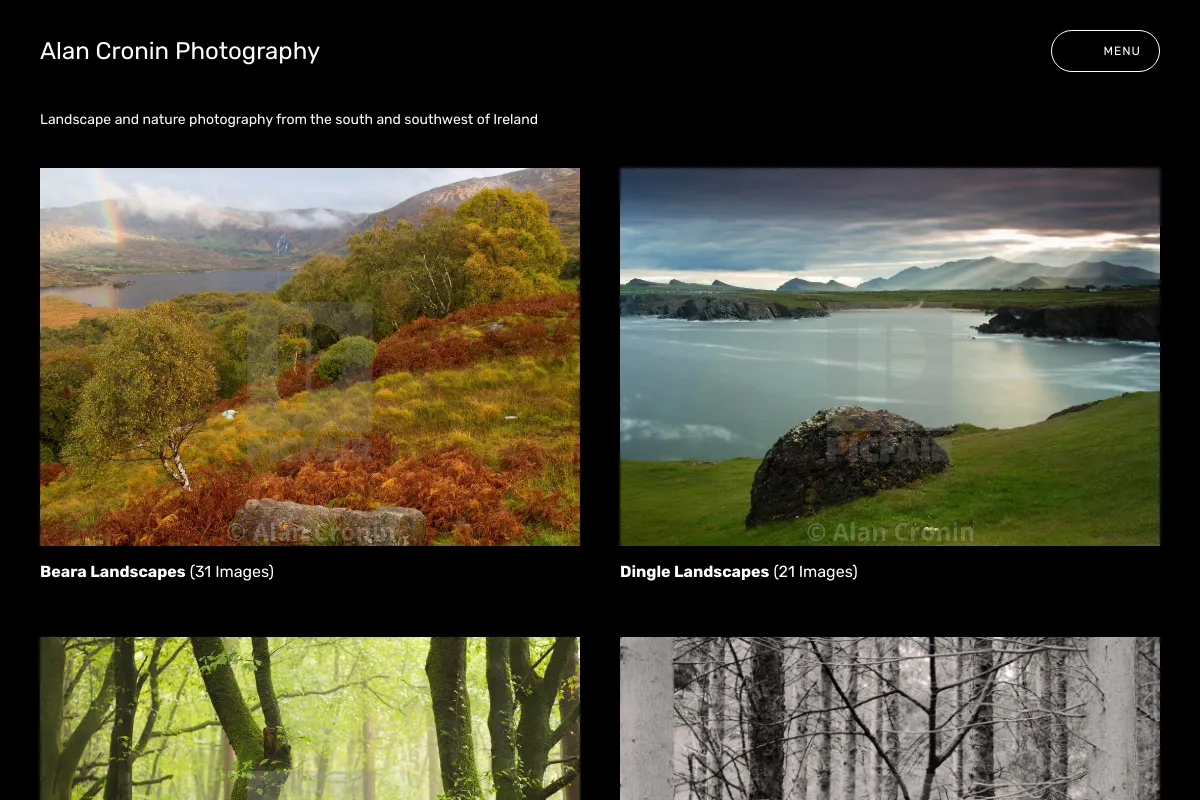 Alan Cronin Photography