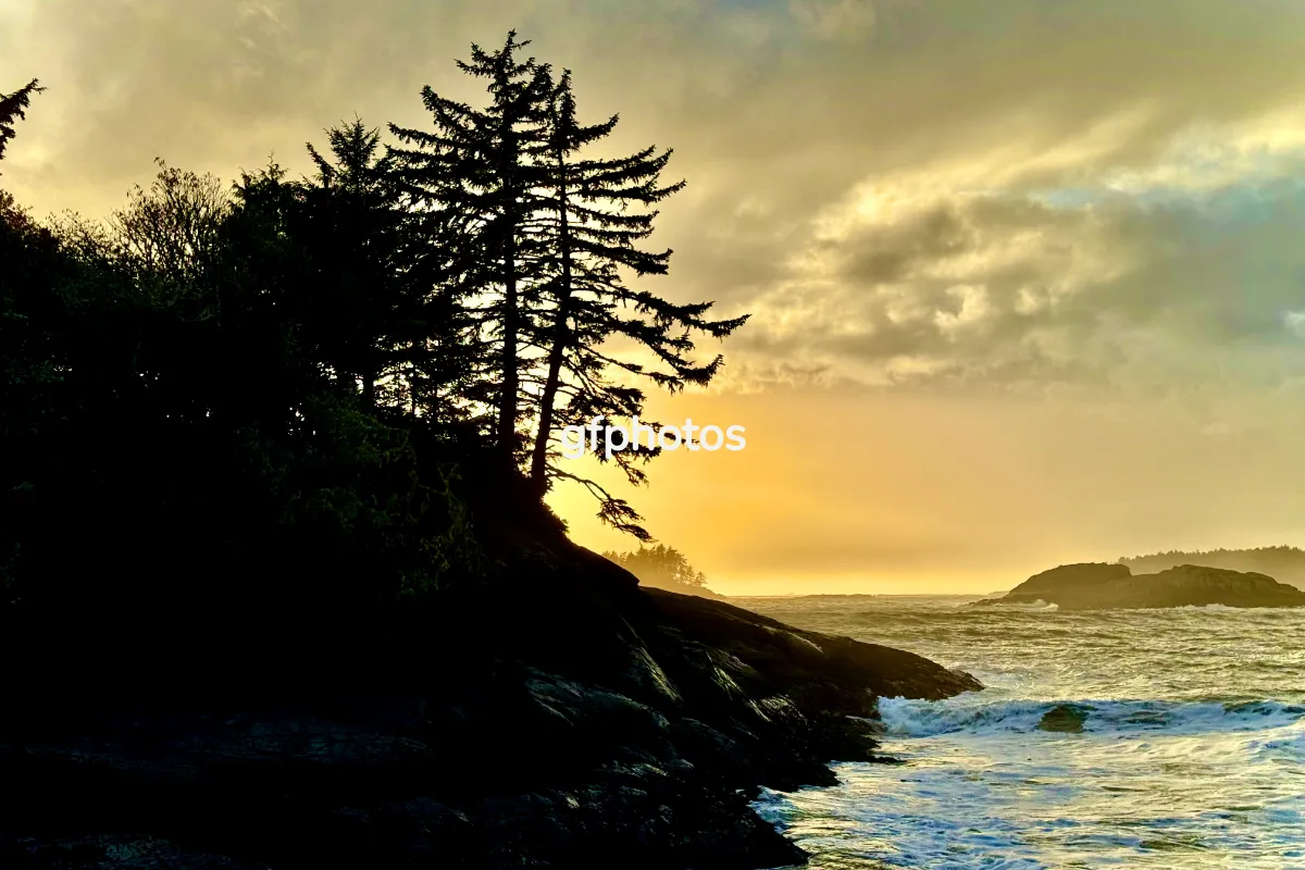 gfphotos