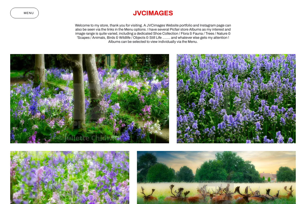 JVCimages