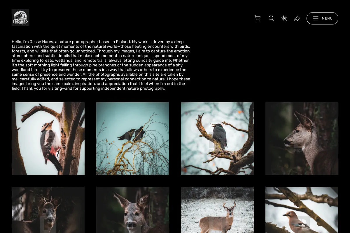 sebusto nature photography