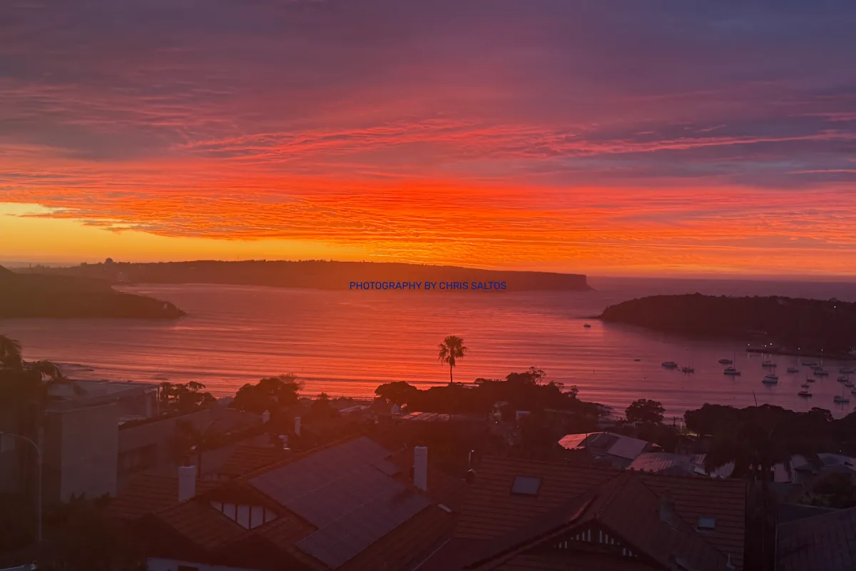 Photography By Chris Saltos