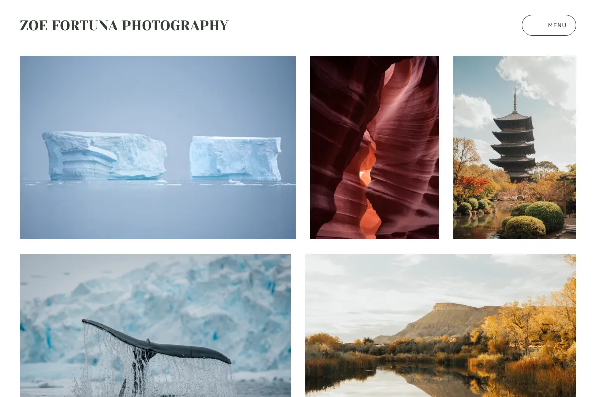 ZOE FORTUNA PHOTOGRAPHY