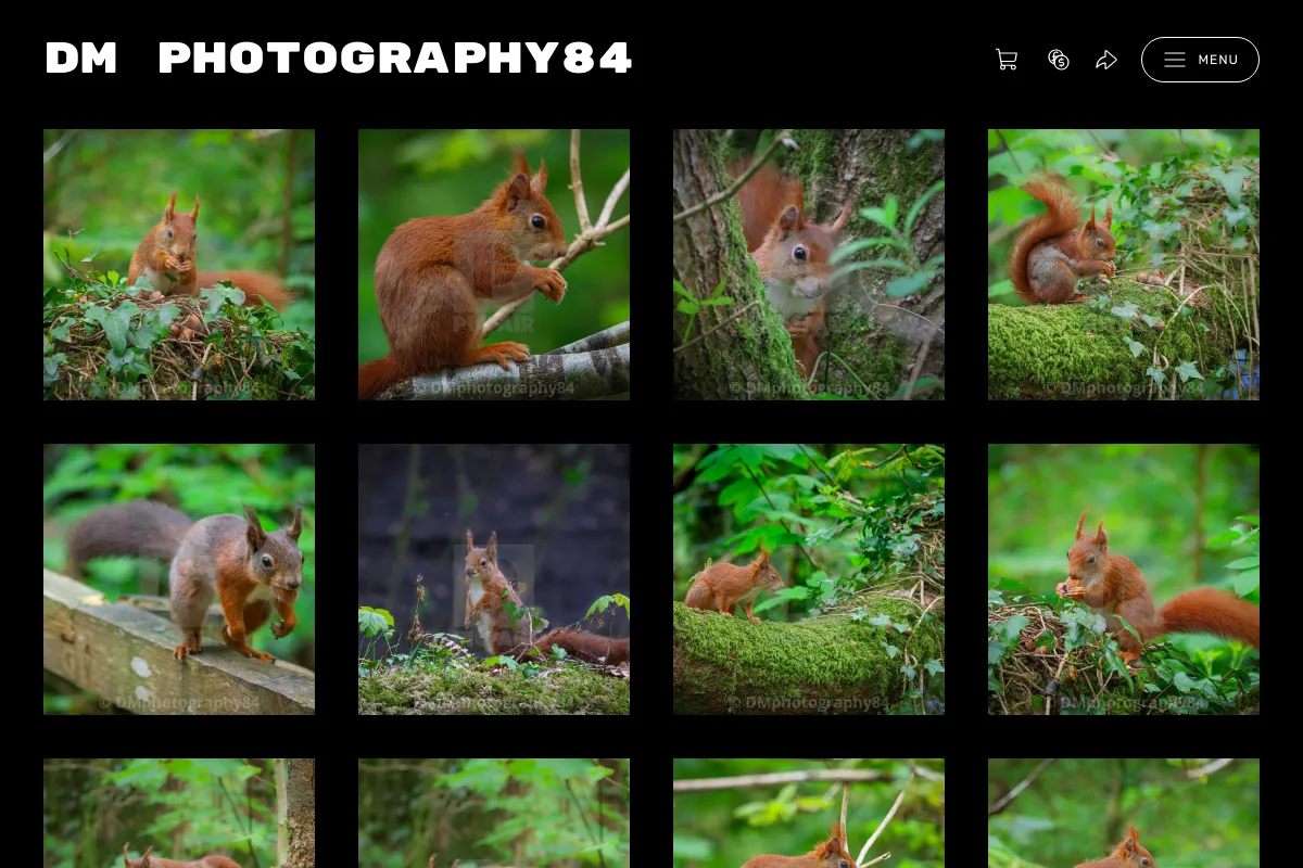 DM photography84
