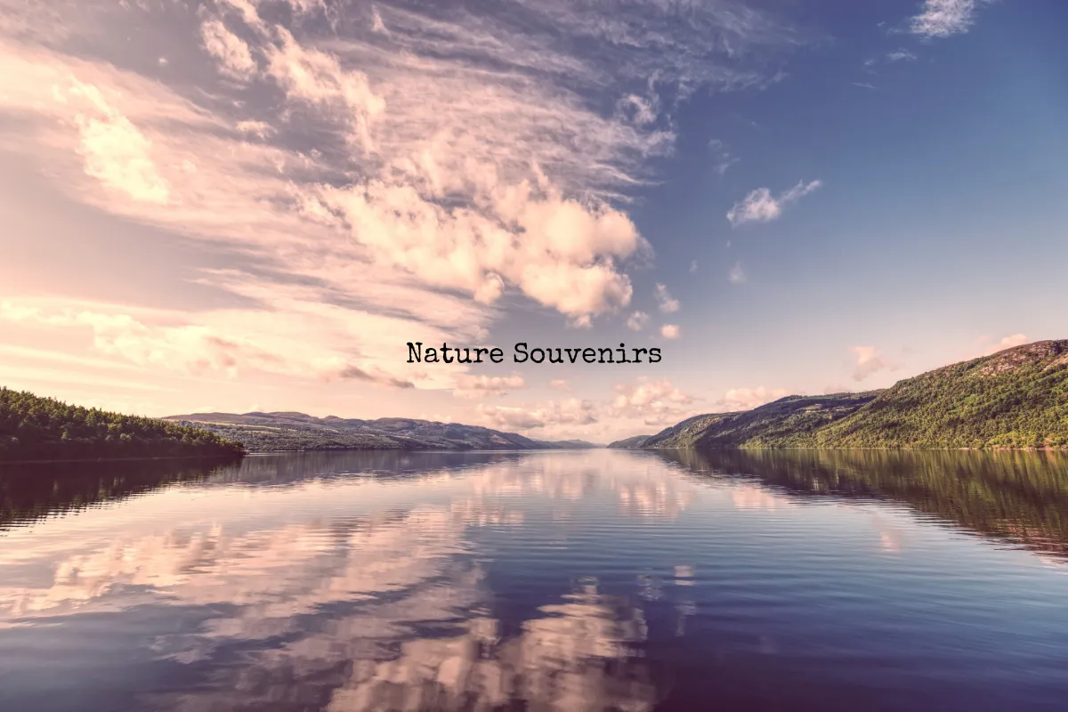 Nature Souvenirs