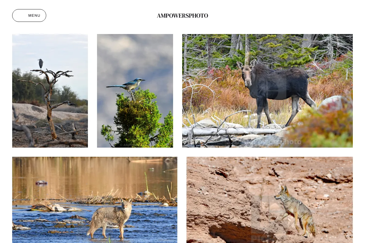 AMPowersphoto