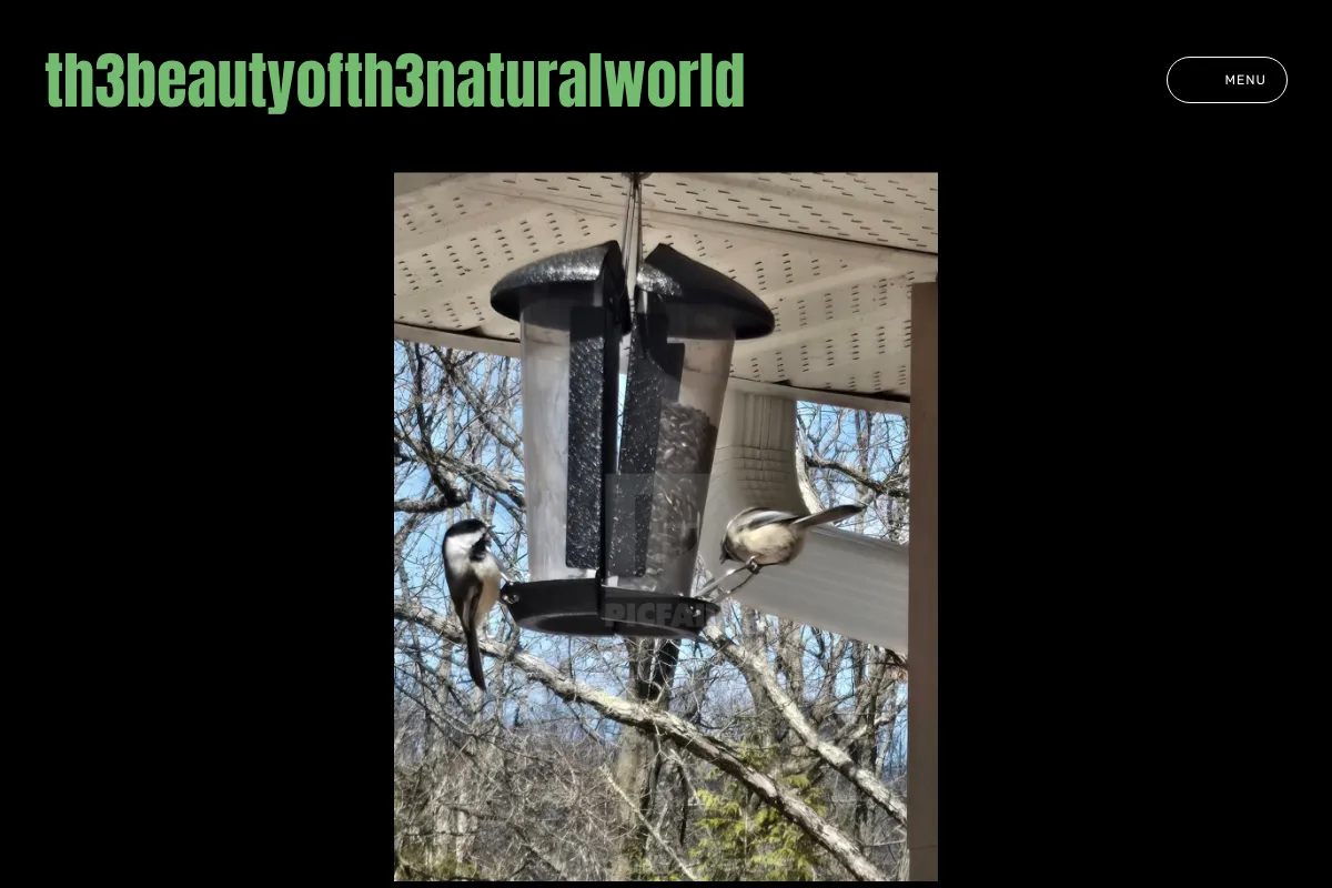 th3beautyofth3naturalworld