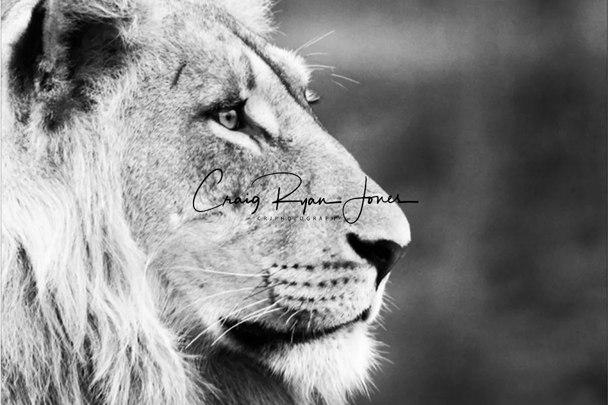 CRJPhotography.Co.Za