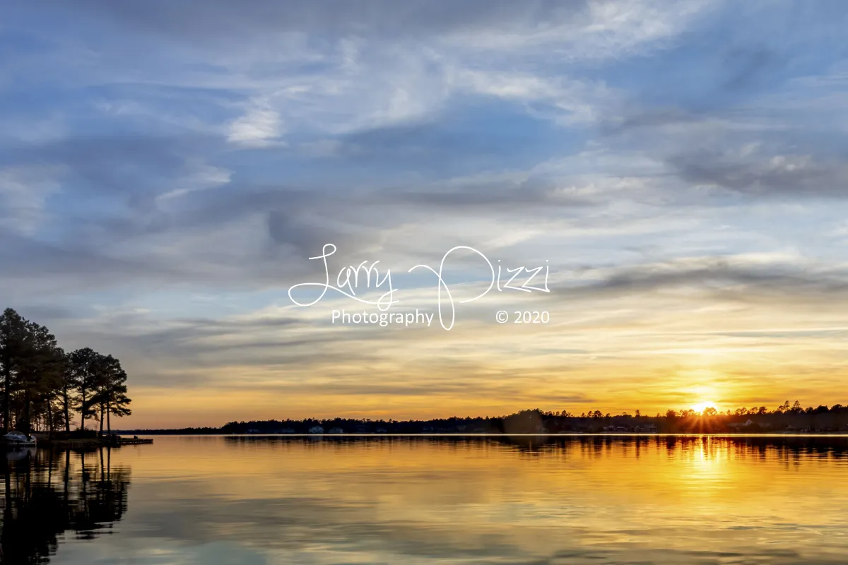 Larry Pizzi
