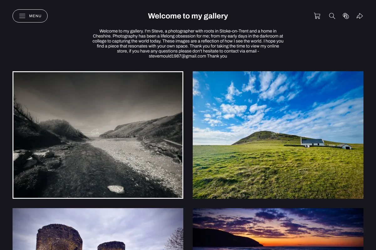 Welcome to my gallery